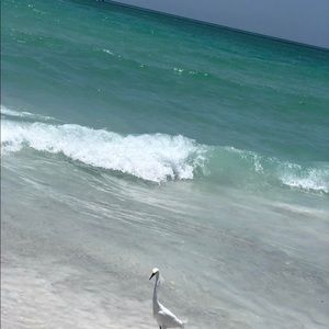 Meet your Posher, Phyllis